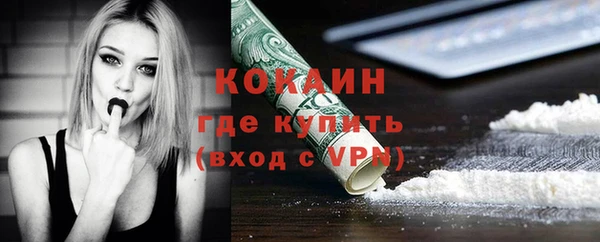 mdpv Вяземский