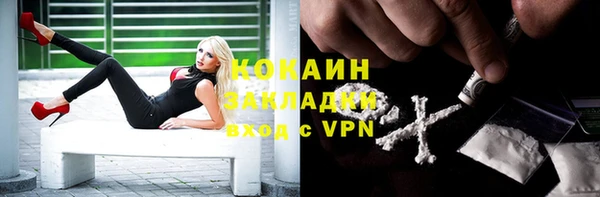 apvp Вязьма