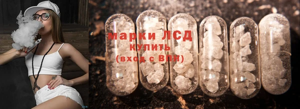 mdpv Вяземский